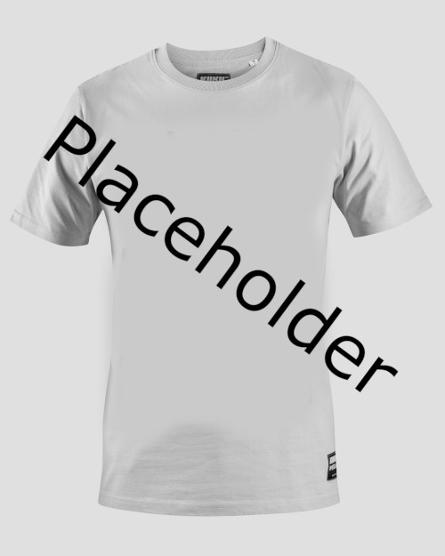  メンズ エスタブリッシュド オーガニック Tシャツ